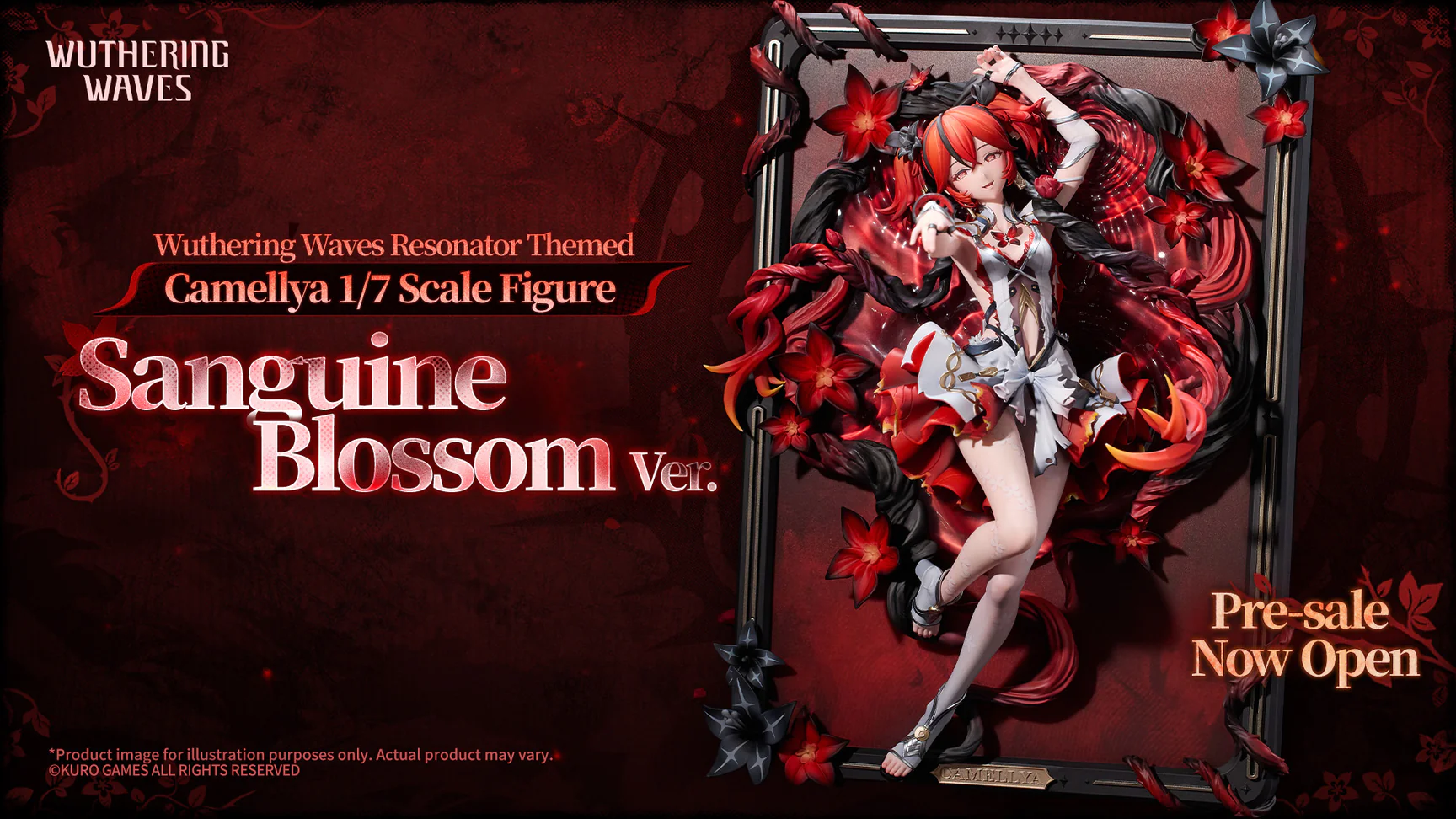 Welcome to Our Store